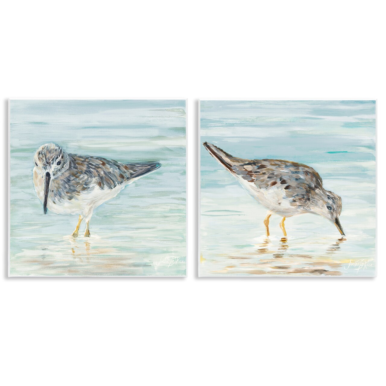 Stupell Industries Piping Plover Shoreline Birds 2 pc Wall Plaque Art Set Design by Julie DeRice
